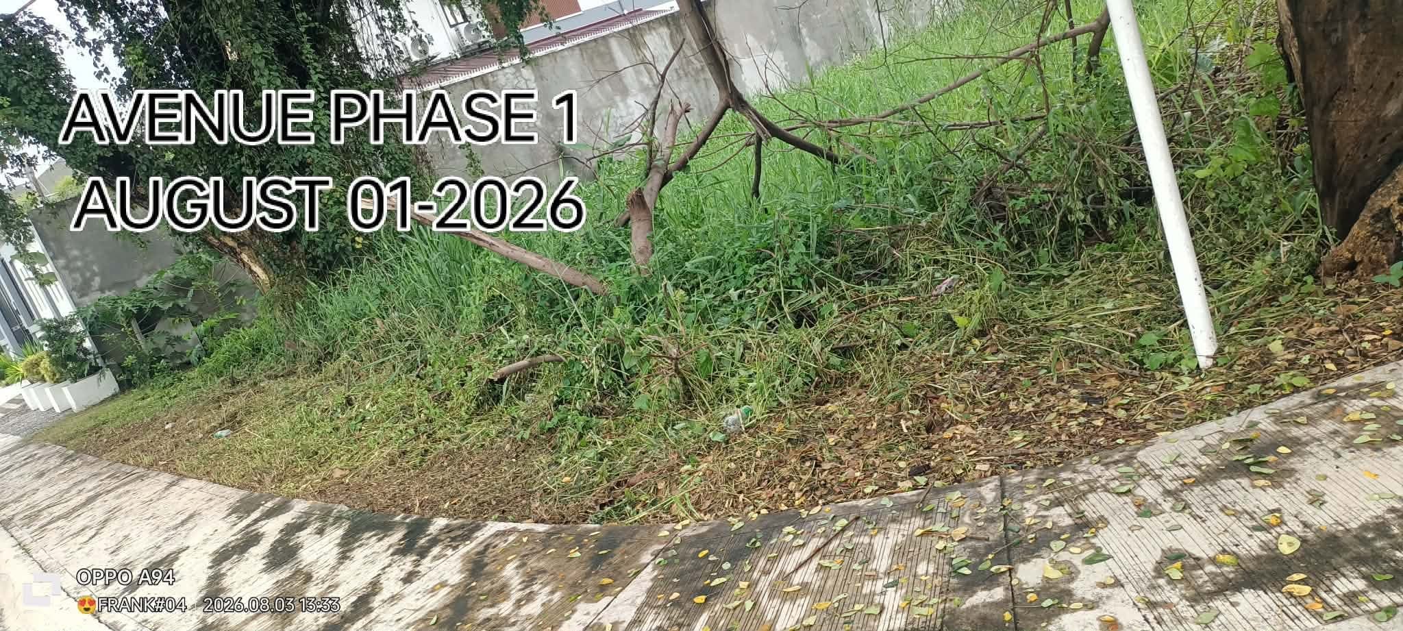 Grass Cutting - Queensborough Avenue