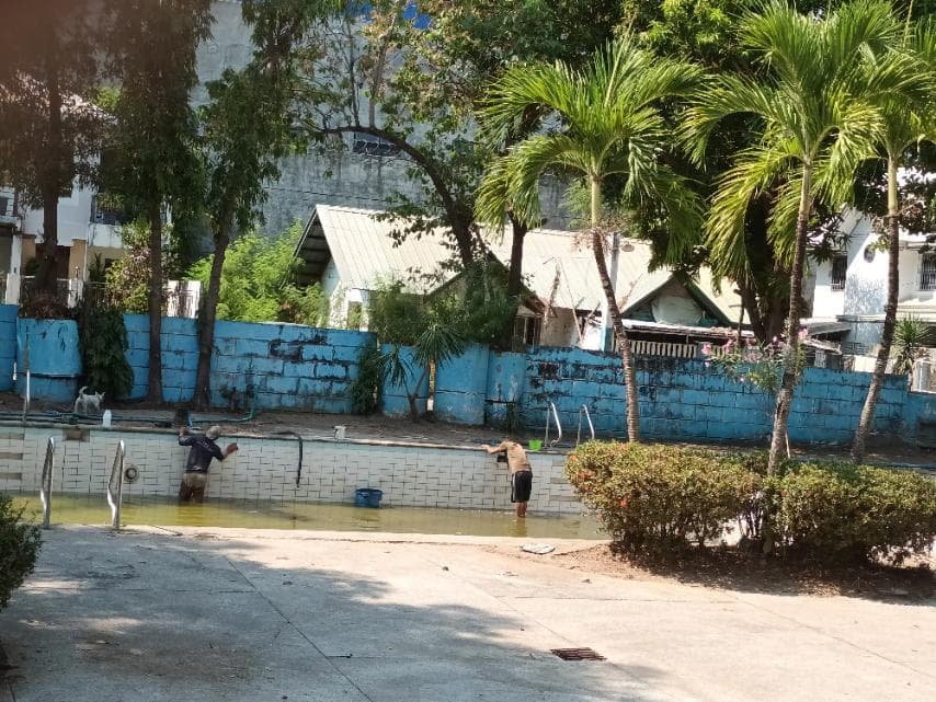 Swimming Pool Rehabilitation Update